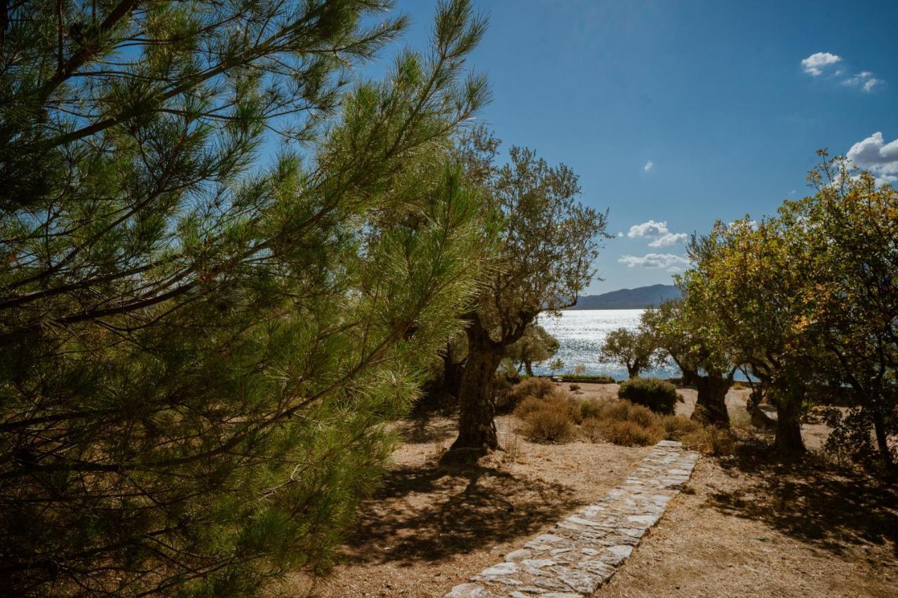 Traditional Architecture Seafront Stone House In 25000Sqm Olive Grove - C Villa Alyfanta Eksteriør billede