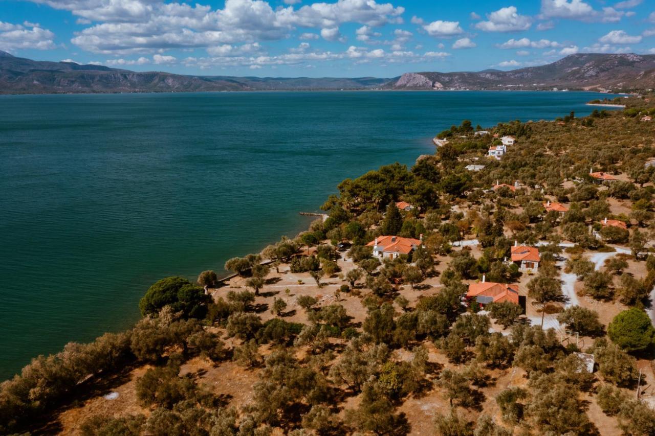 Traditional Architecture Seafront Stone House In 25000Sqm Olive Grove - C Villa Alyfanta Eksteriør billede